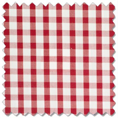 Bay Boulevard Gingham, Red