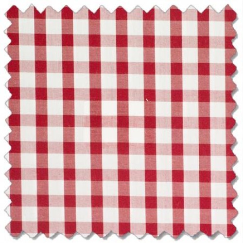 Bay Boulevard Gingham, Red
