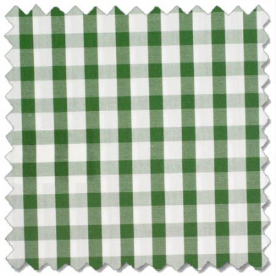 Bay Boulevard Gingham, Green
