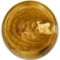Resin-2