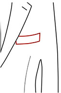 Welt Pocket